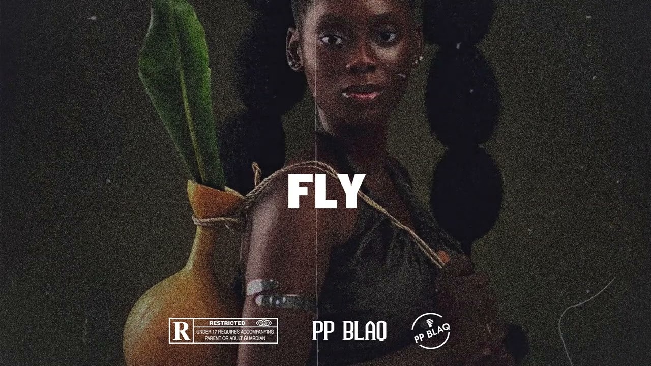 Amapiano Instrumental - FLY- Tolibian x Shallipopi x Mohbad x Asake Amapiano Type beat -2024