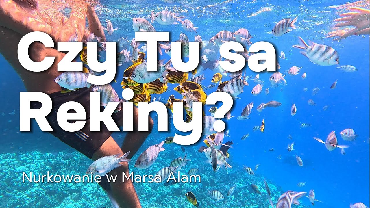 Czy Tu są Rekiny ? -Nurkowanie w Marsa Alam – Niesamowita Rafa Koralowa! 🌊🐠