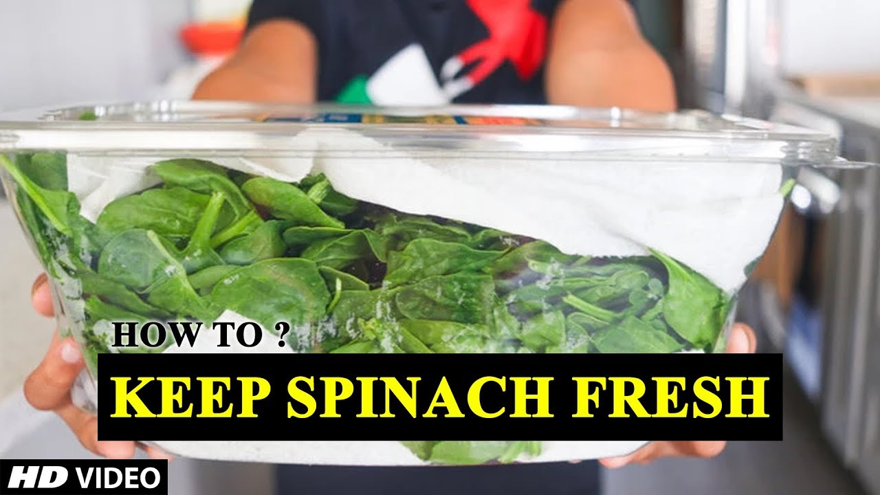 How To Keep Spinach Fresh | Kitchen Hacks
