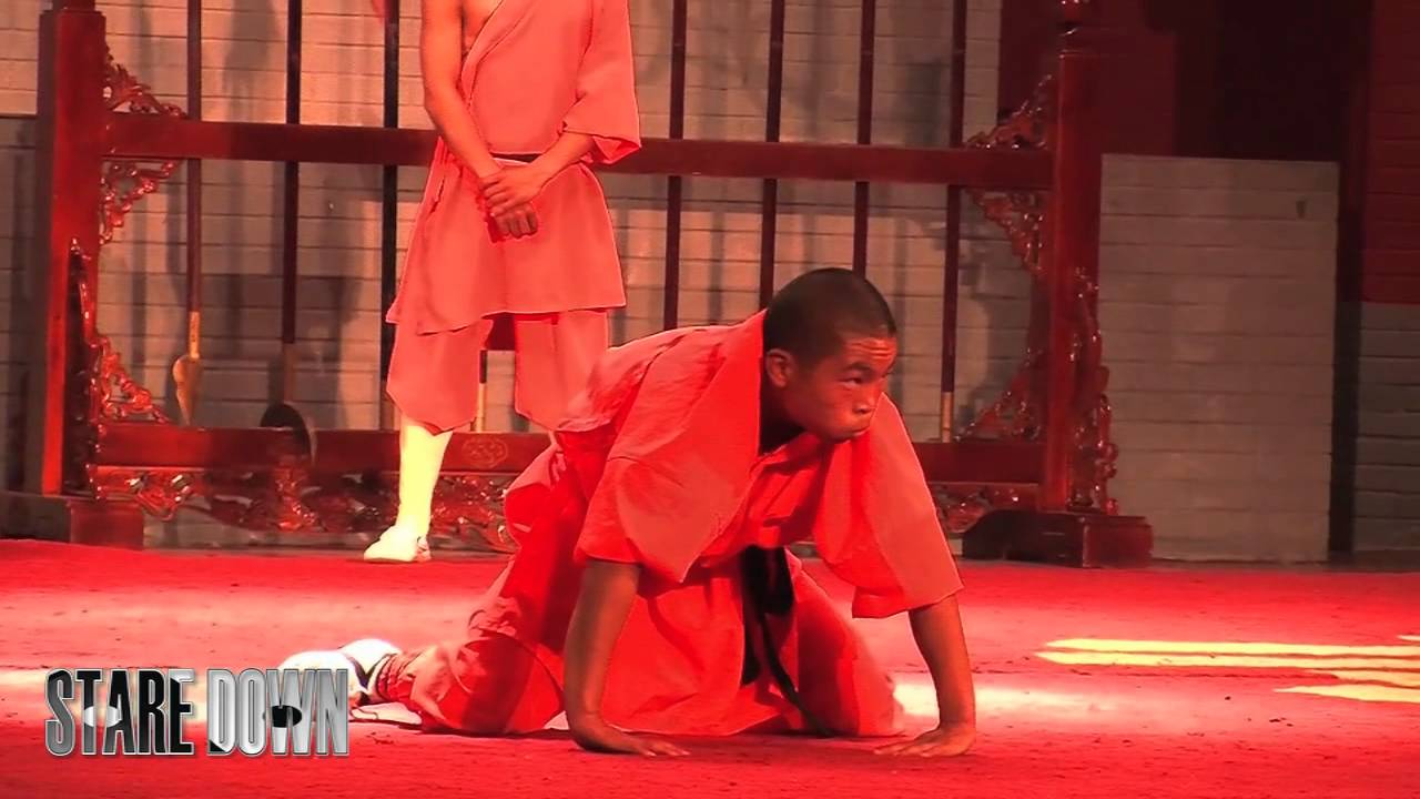 Shaolin Kung Fu Animal Forms.mov