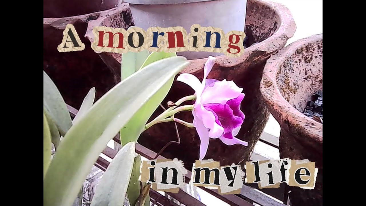 a morning in my life // through the lens of a kodak charmera
