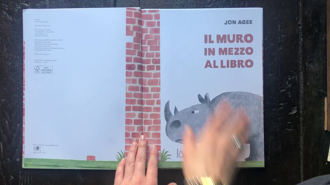 Il muro in mezzo al libro di Jon Agee Casa ed: Il Castoro
