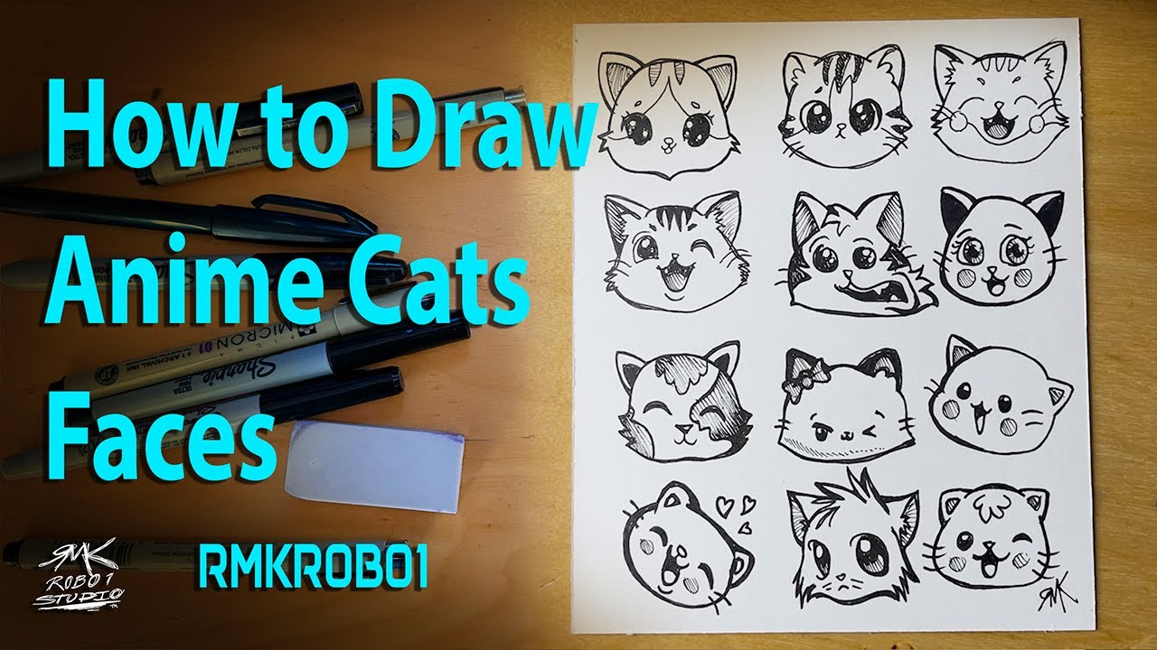 How to Draw Anime Cat Faces 1