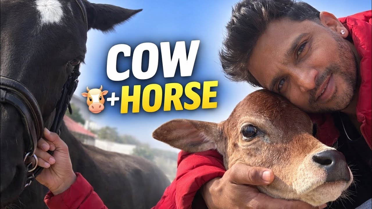 Mini Cow & Horse Riding | Village Farm Life India | Daily Vlog