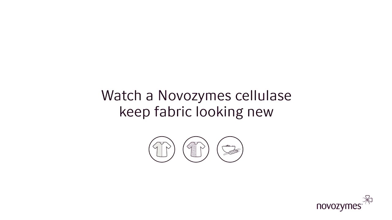 See fabric keeps its new look with Novozymes cellulase