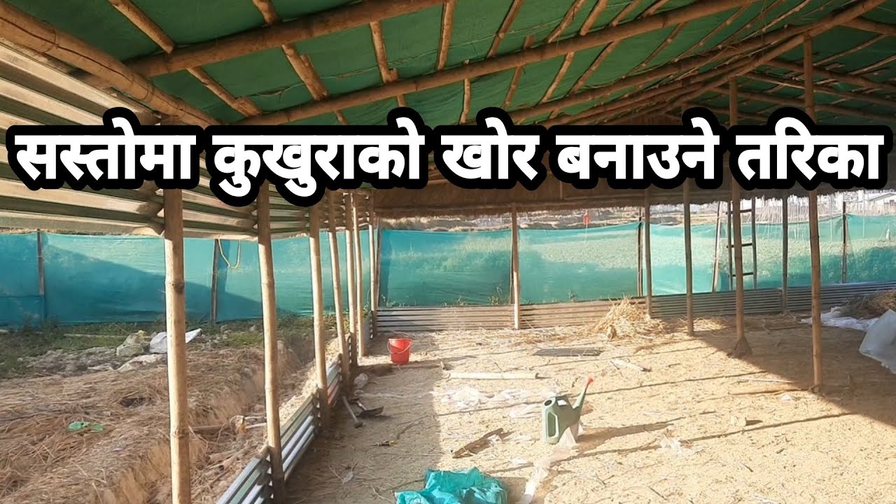 कुखुराको खोर सबैभन्दा सस्तोमा राम्रो दरो बनाउने सजिलो तरिका / kukhurako khor banaune tarika