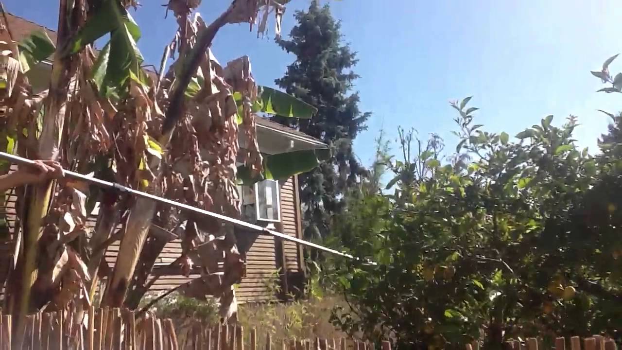 that is a lemon picker