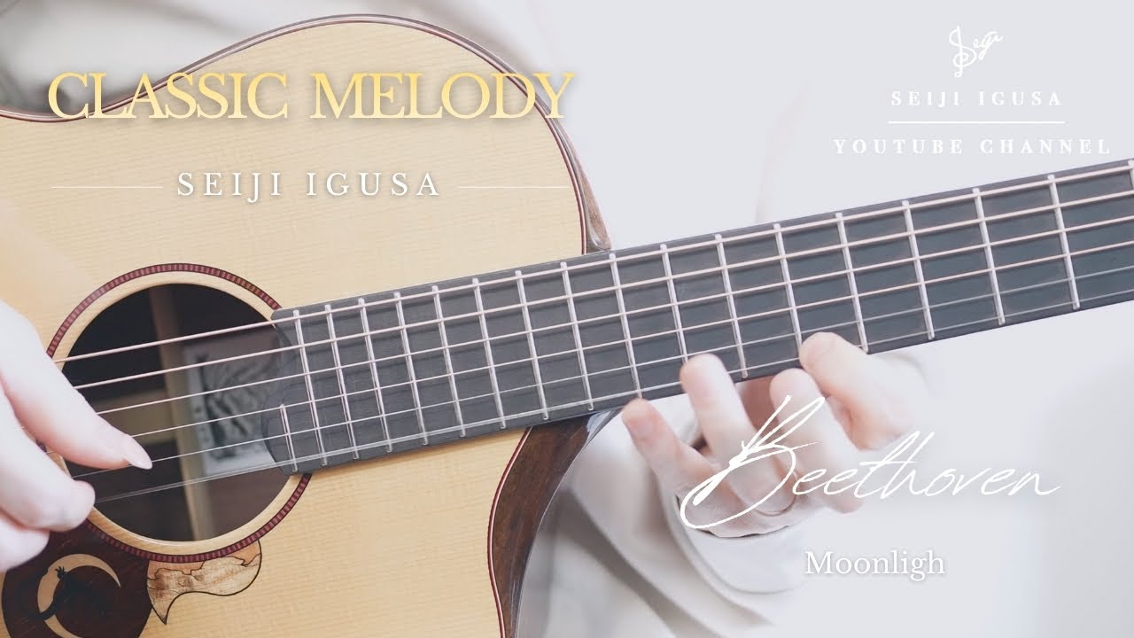 Beethoven - Moonlight | Fingerstyle Guitar | Seiji Igusa