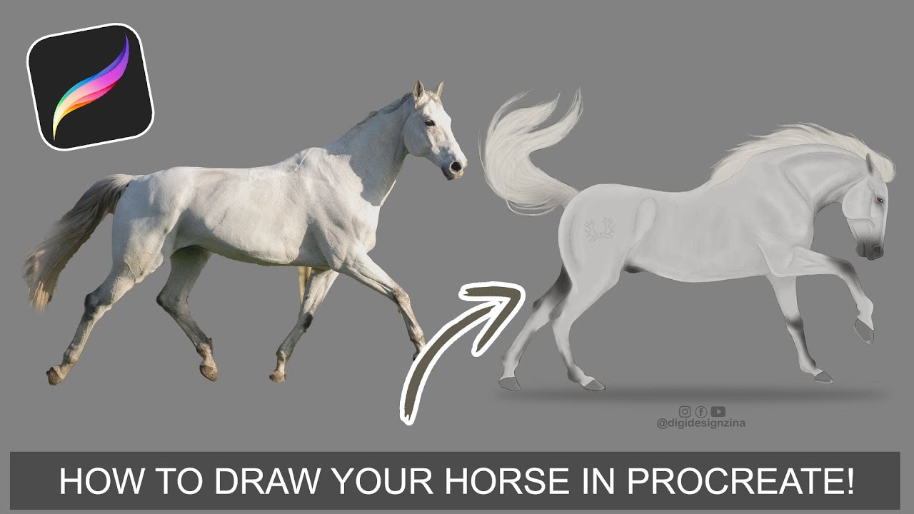 How to DRAW a HORSE on Procreate| Beginner Friendly Tutorial