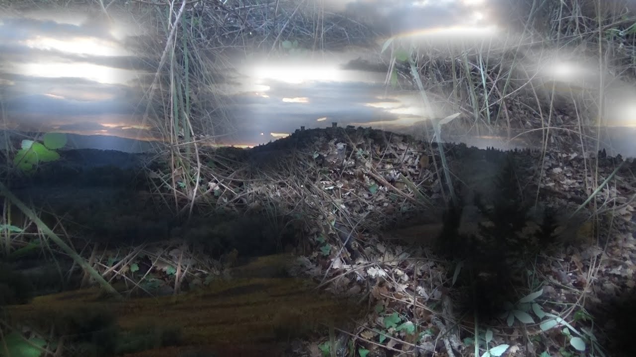TUBER UNCINATUM (CHATIN) - TARTUFO NERO UNCINATO : Prime buche in appennino ...