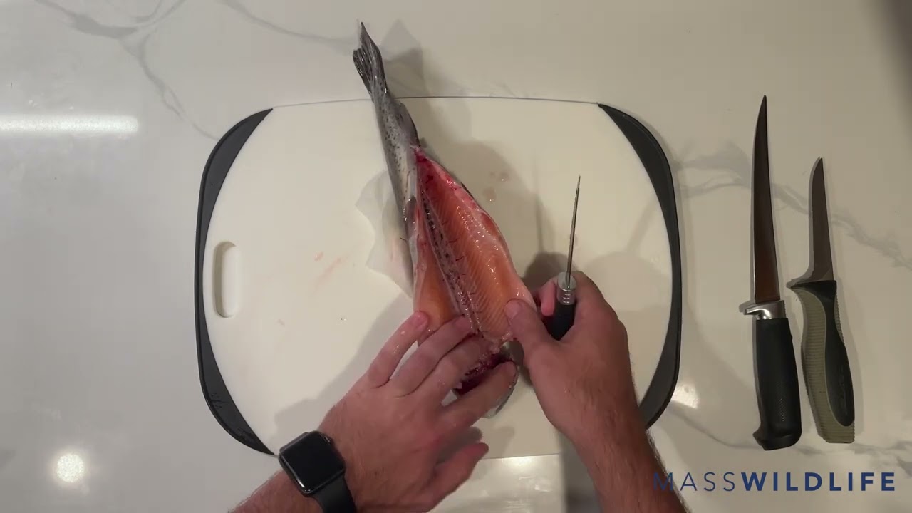 How to Fillet a Trout