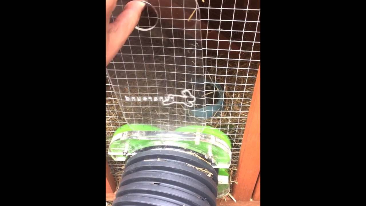 Rabbits Runaround