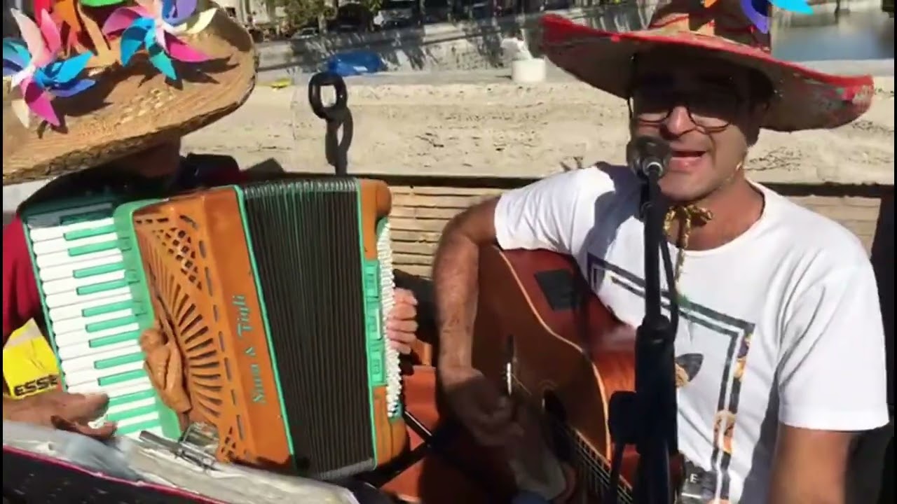 20  DI APRILE - NOMADI    POWER BLADES PONTE SISTO GUITAR ACCORDION  ギター アコーディオン SOMBRANDOLA