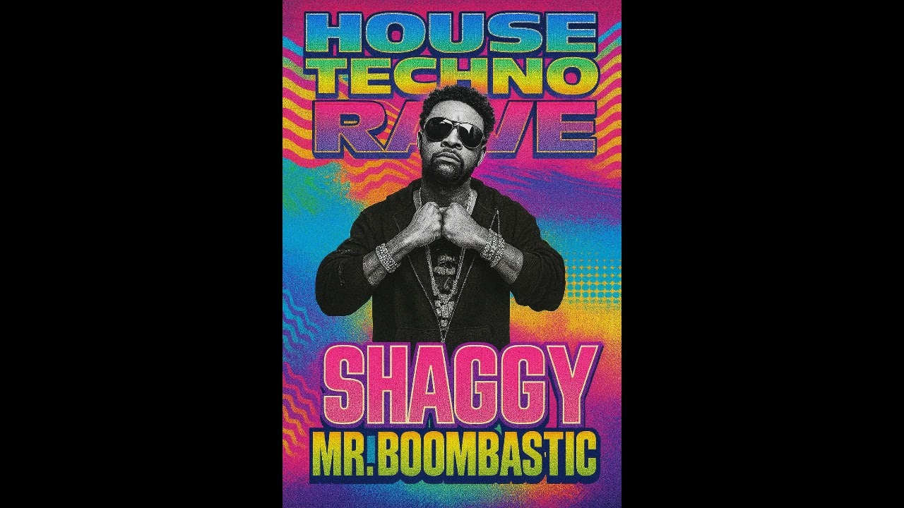 Shaggy Mr. Bombastic - House Techno Remix 