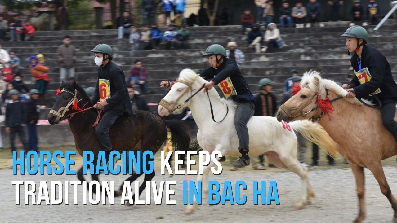 Horse Racing Keeps Tradition Alive in Bắc Hà | Truyền thống đua ngựa Bắc Hà