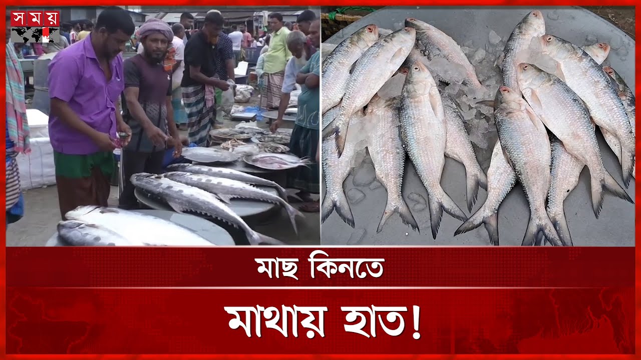 মিরকাদিম হাটে ইলিশের আগুন দাম | Mirkadim Fish Market | Ilish | Munshiganj News | Somoy TV