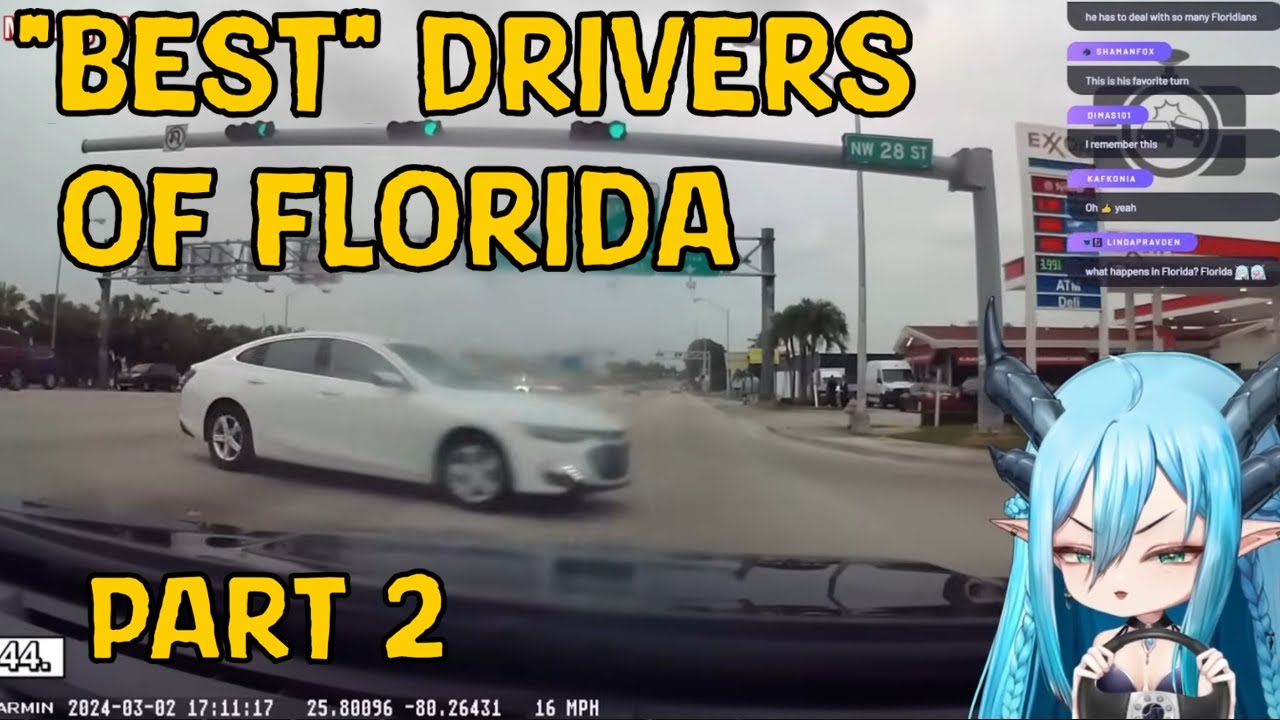 Caught in Florida Traffic: A Tragic Comedy