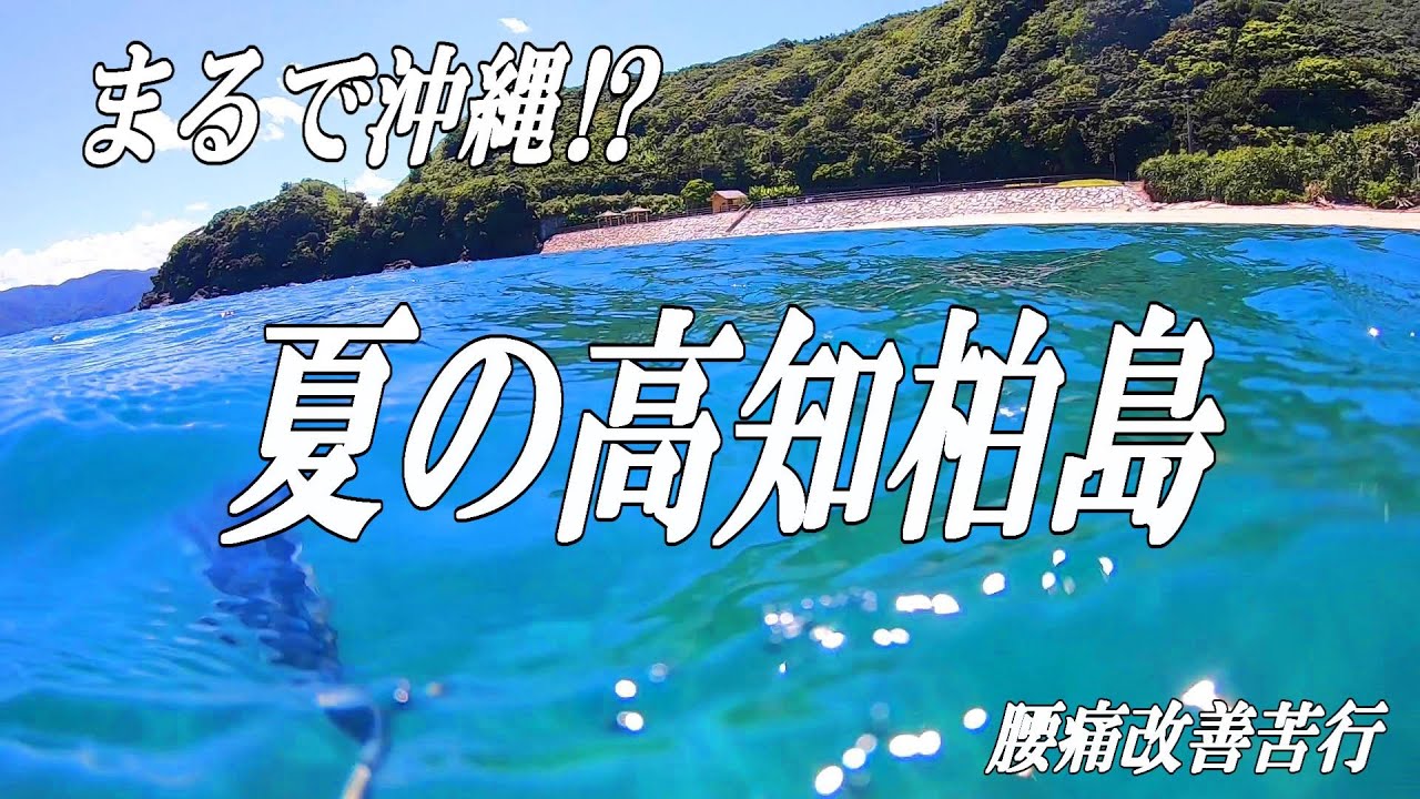 まるで沖縄⁉　夏の高知,柏島,竜串の旅　前編　腰痛改善苦行旅