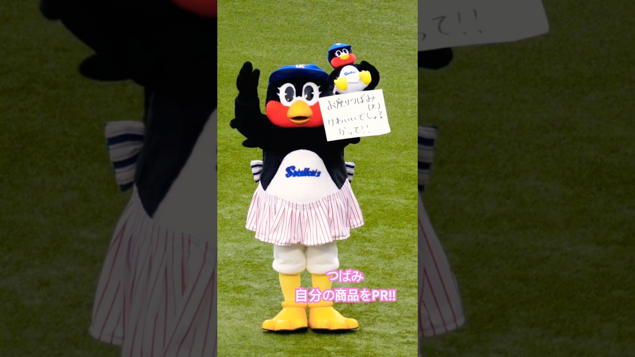 つばみ　自分の商品をゴリ押し！！#swallows #つばみ #つばみちゃん #燕心全開