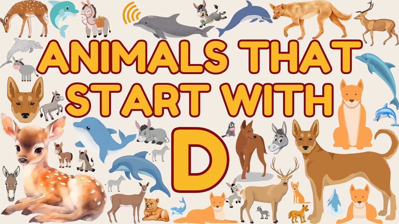 Alphabetical Animals for Children & Kids | Letter D | Eager Minds Academy