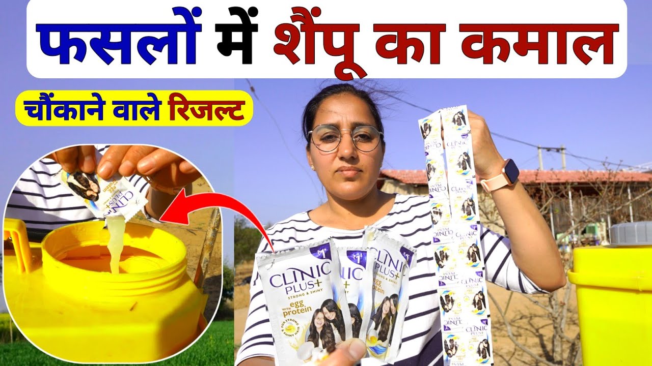खेती में शैंपू का कमाल 😲 fasal me shampoo ke fayde | shampoo use in agriculture | shampoo ka proyog