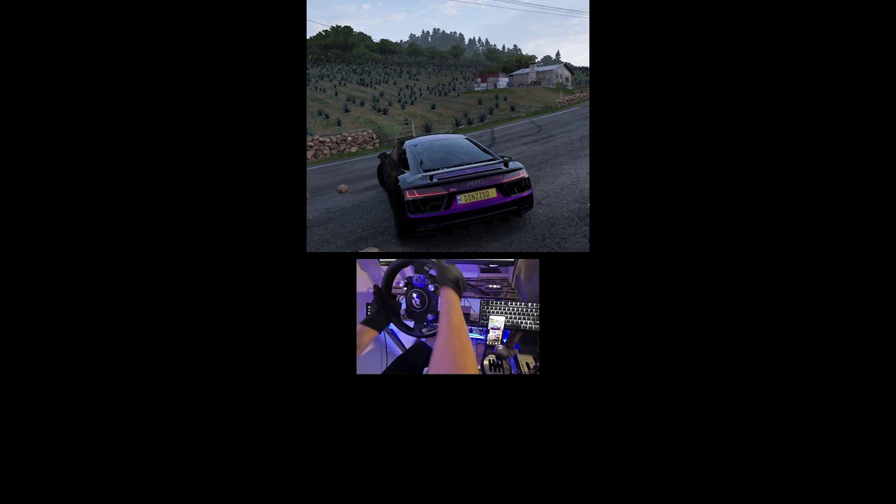 Forza Horizon 5 Live steering wheel
