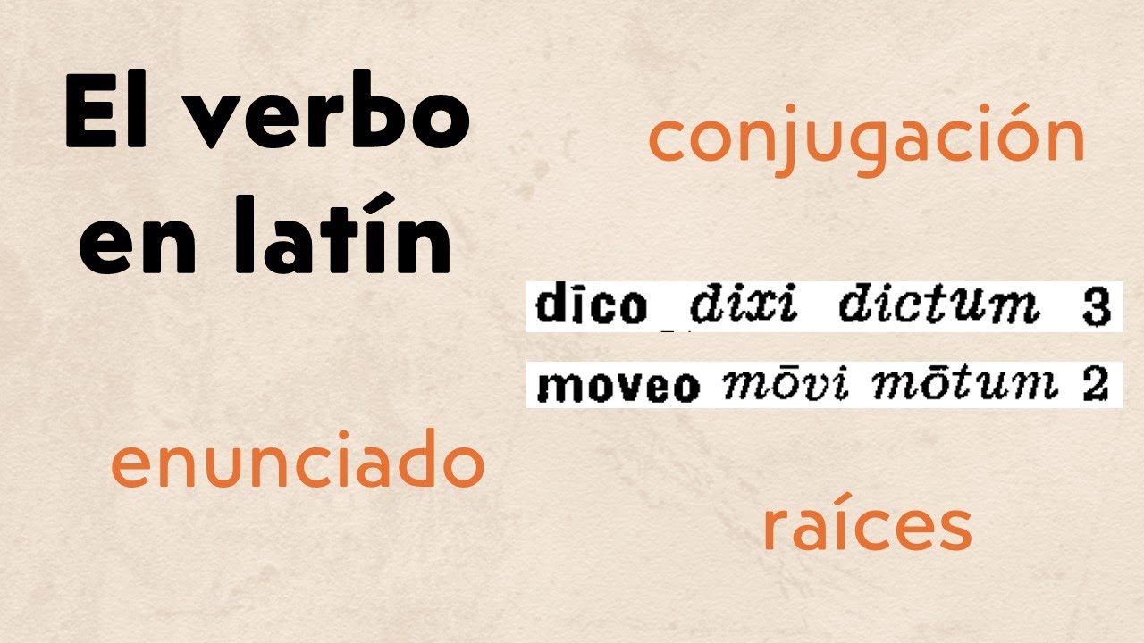 El verbo en latín | Enunciado, conjugaciones y raíces
