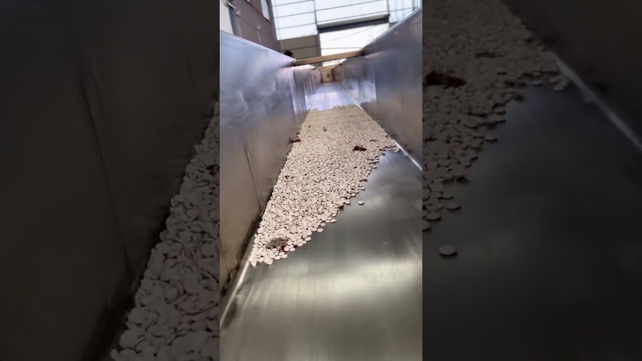 Vibrating Conveyor
