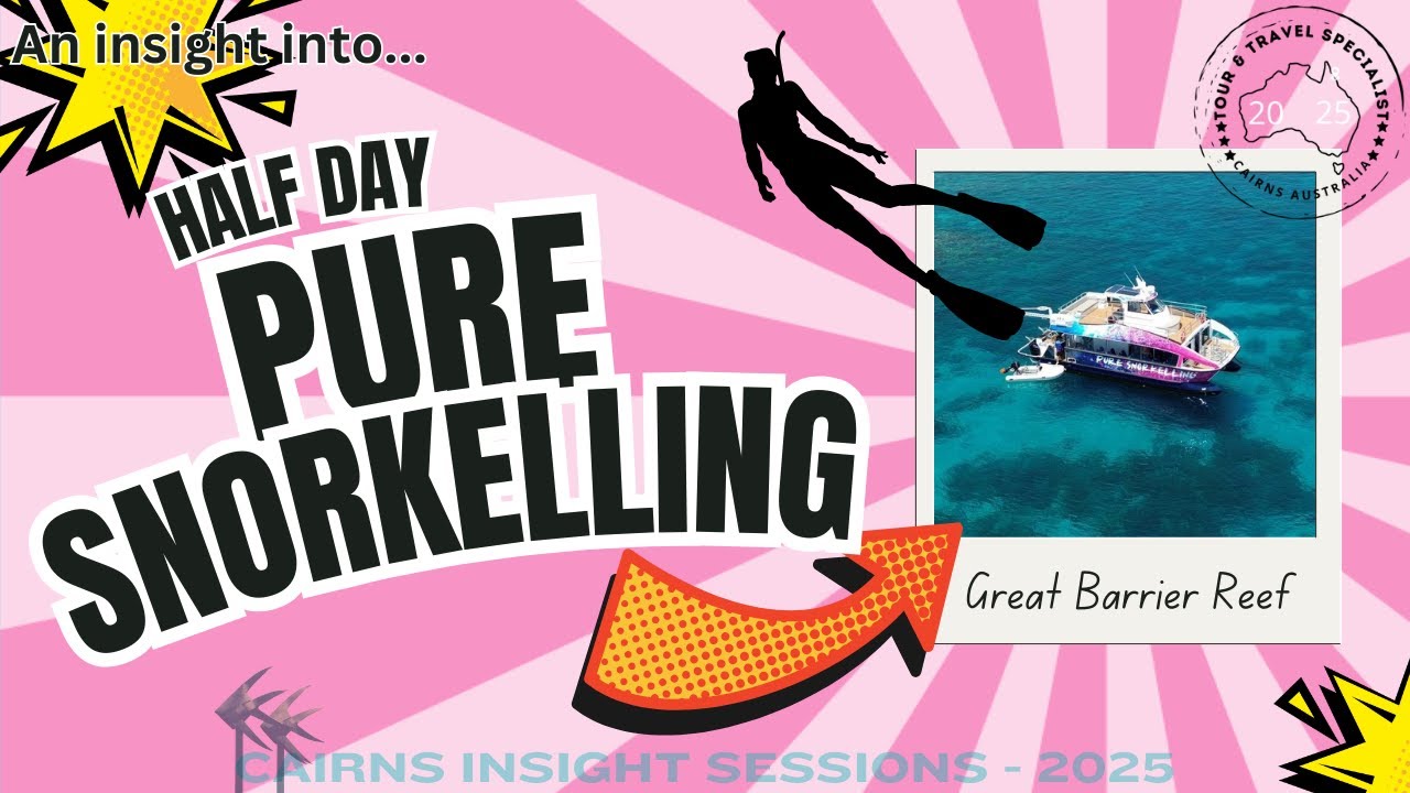 Pure Snorkelling - Great Barrier Reef - Cairns Insight Sessions 2025