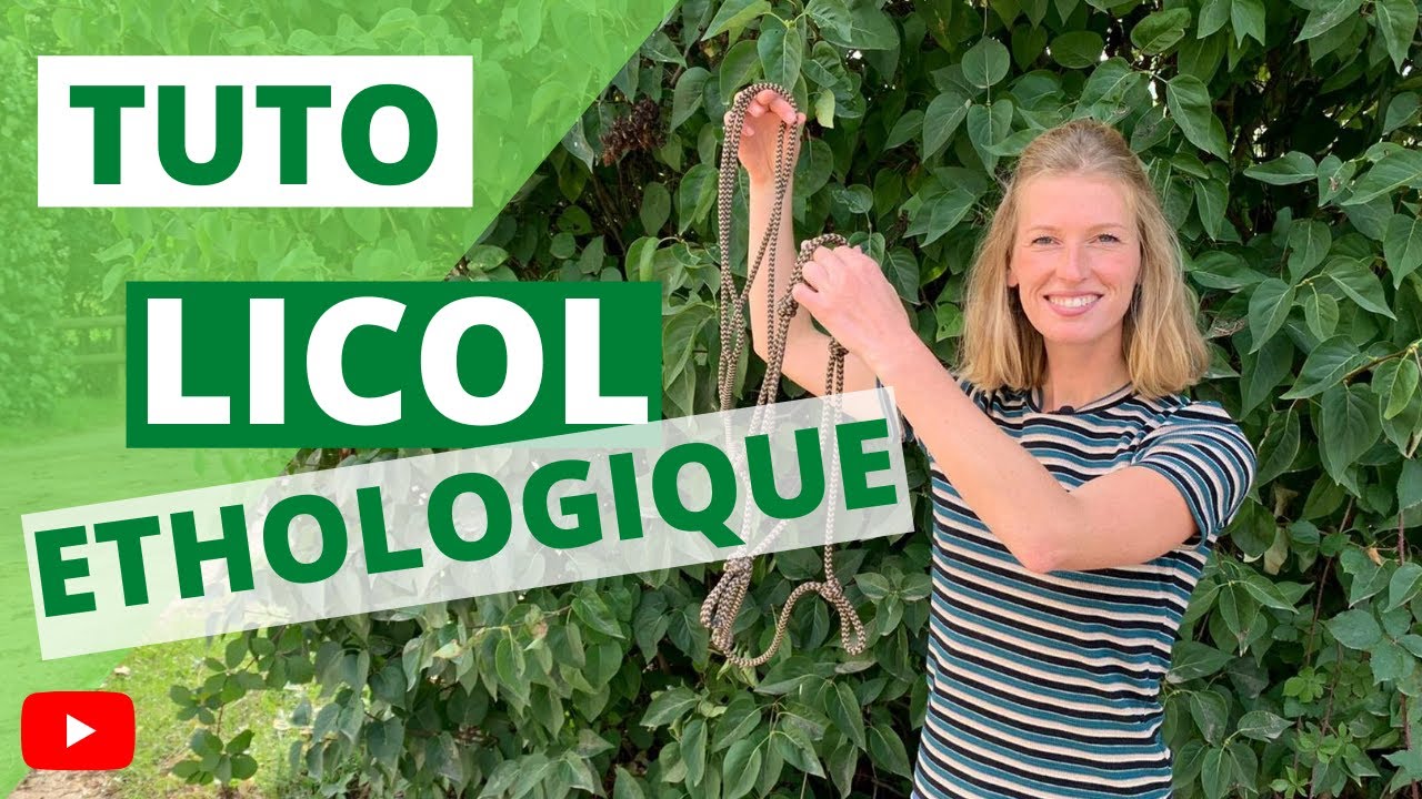 Licol éthologique - Mode d'emploi