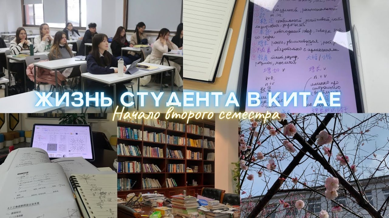 Учеба в Китае🇨🇳 Один день из жизни студентки в Китае. Начало второго семестра📚