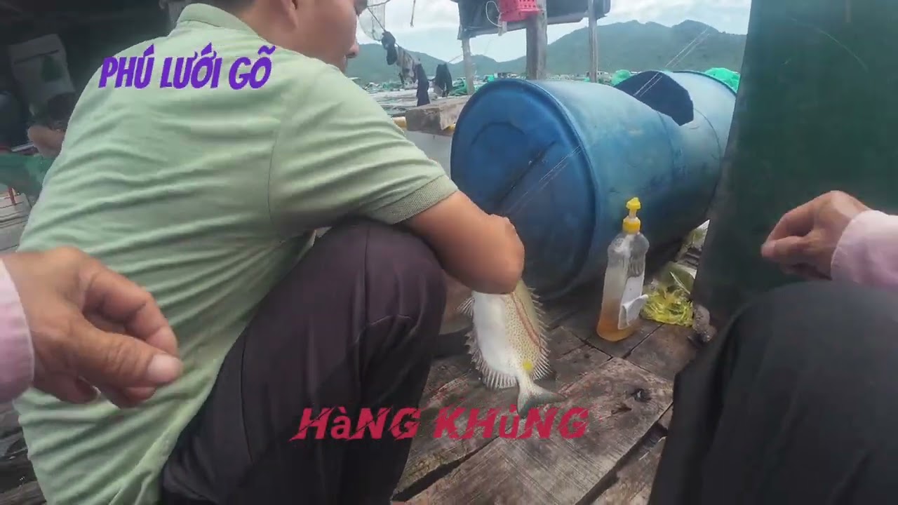 Cá dìa gặp con nước ăn mạnh.. móc câu dính quá anh em...