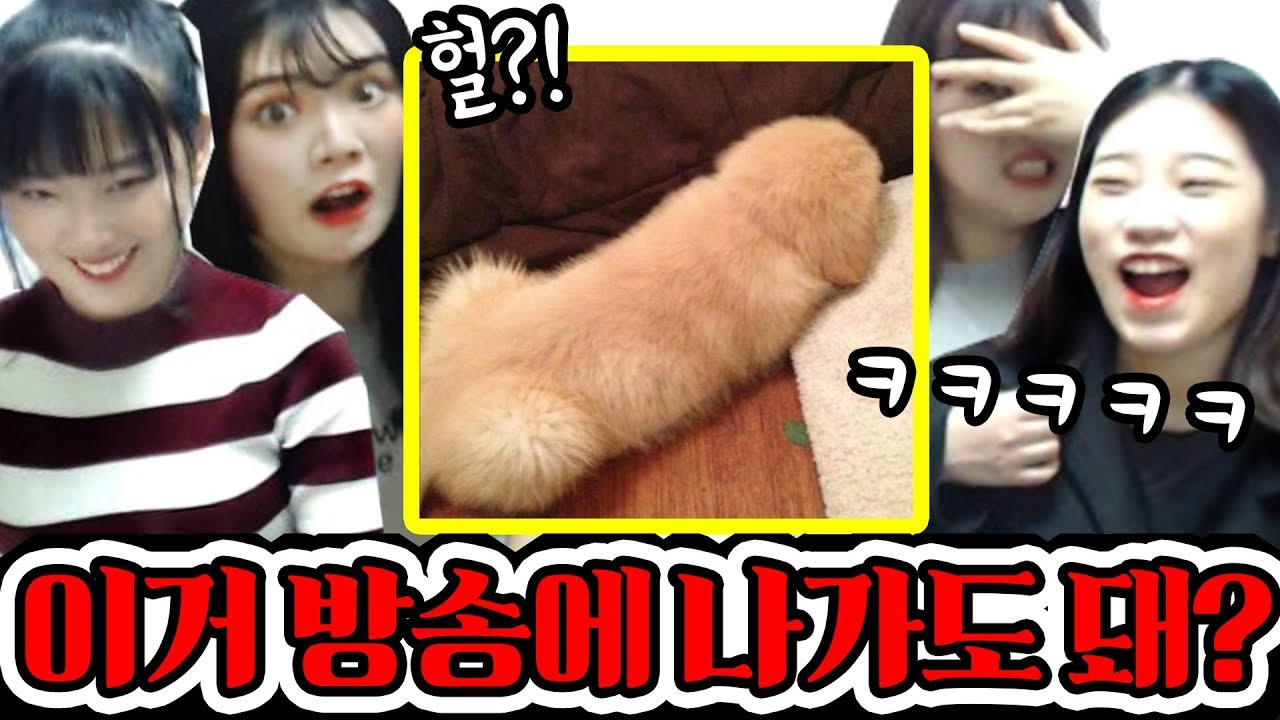 오늘 영상 미성년자분들은 보지 말아주세요..+김하나 예쁘린 수지니 [역대급 음란마귀테스트★Lv.999★]
