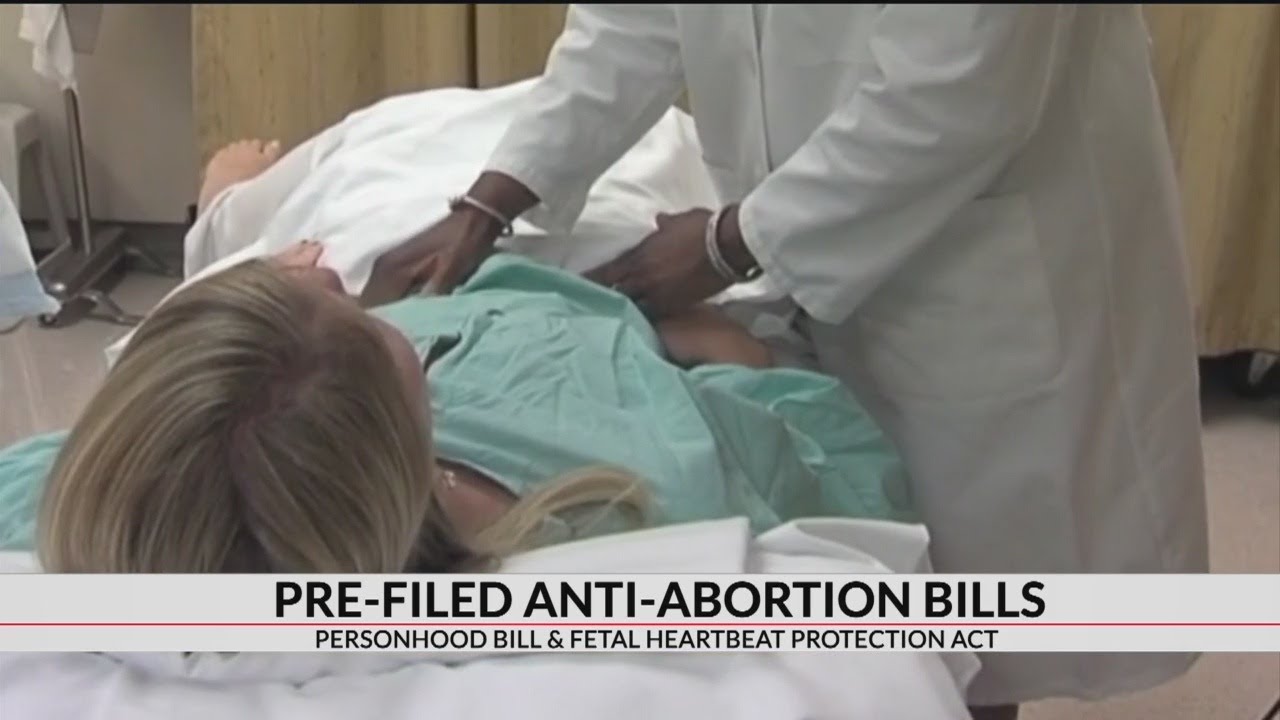 Abortion likely to be hot topic for General Assembly in 2019