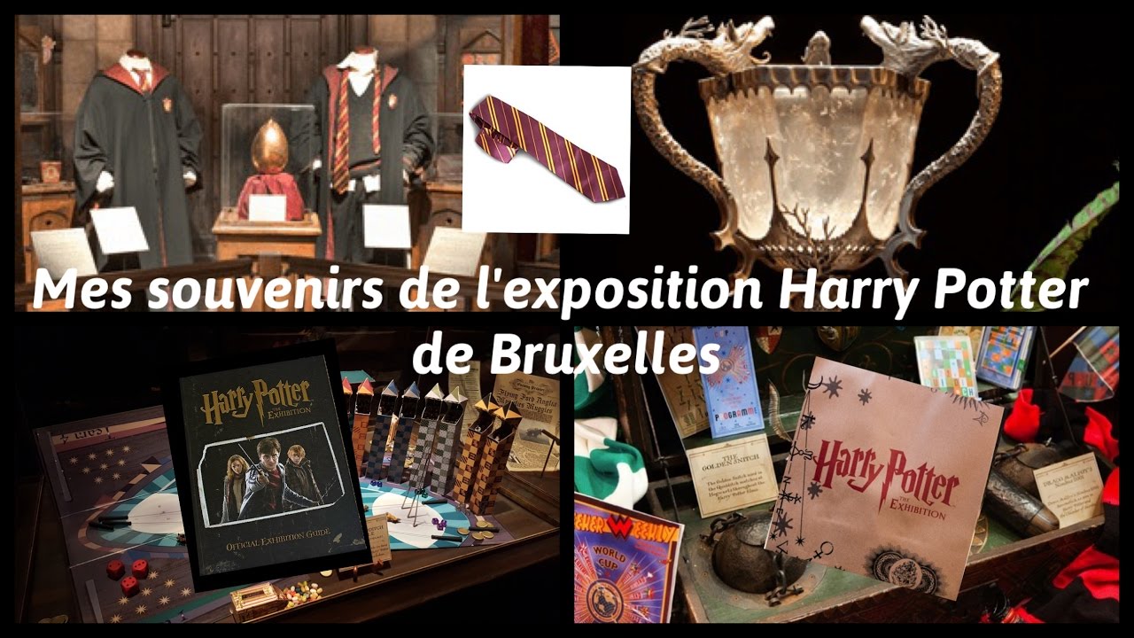 Mes souvenirs de l'exposition Harry Potter de Bruxelles