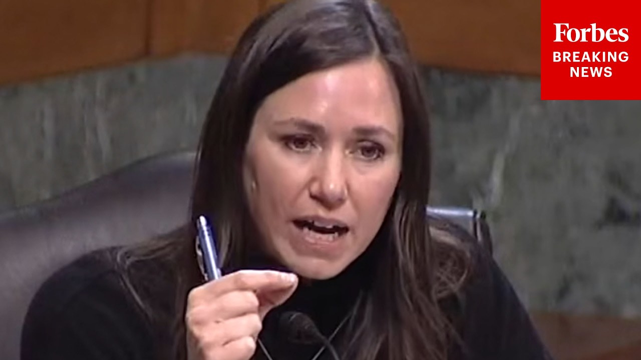 'Sanctuary City Policies Are Ruining America': Britt Questions Witnesses About Immigration Policy