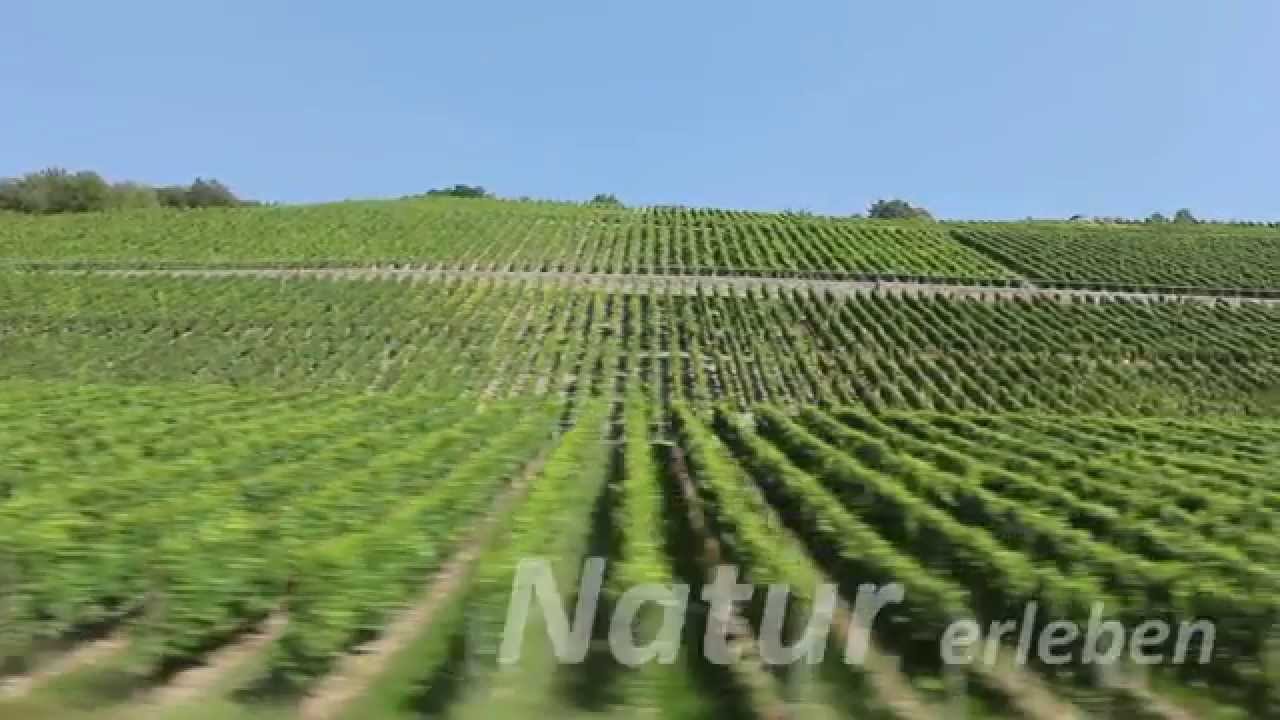 Imagefilm Landkreis Würzburg