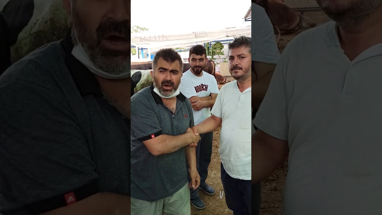 Kurban pazarlığı (hararetli) 😃🤠🐂