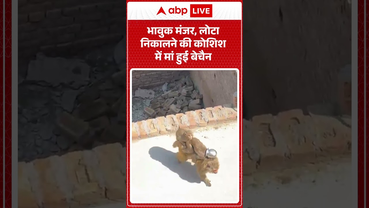 Viral News: भावुक मंजर, लोटा निकालने की कोशिश में मां हुई बेचैन | #viralnews #viralvideo