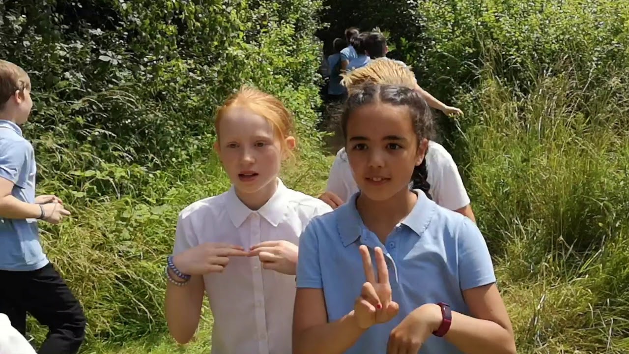 Brinsworth Whitehill Primary School - LipDub 2019