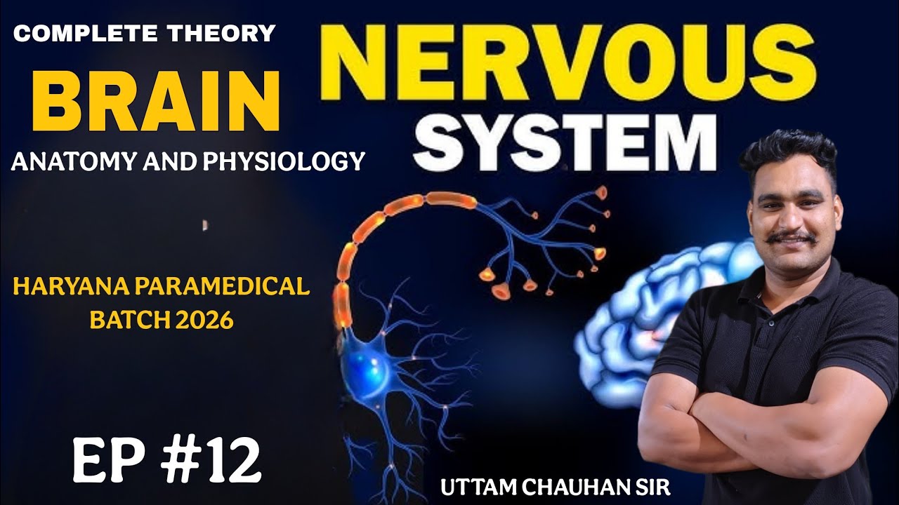 Human Nervous System & Brain Anatomy Physiology | Paramedical Complete Lecture #hssc #mphw 