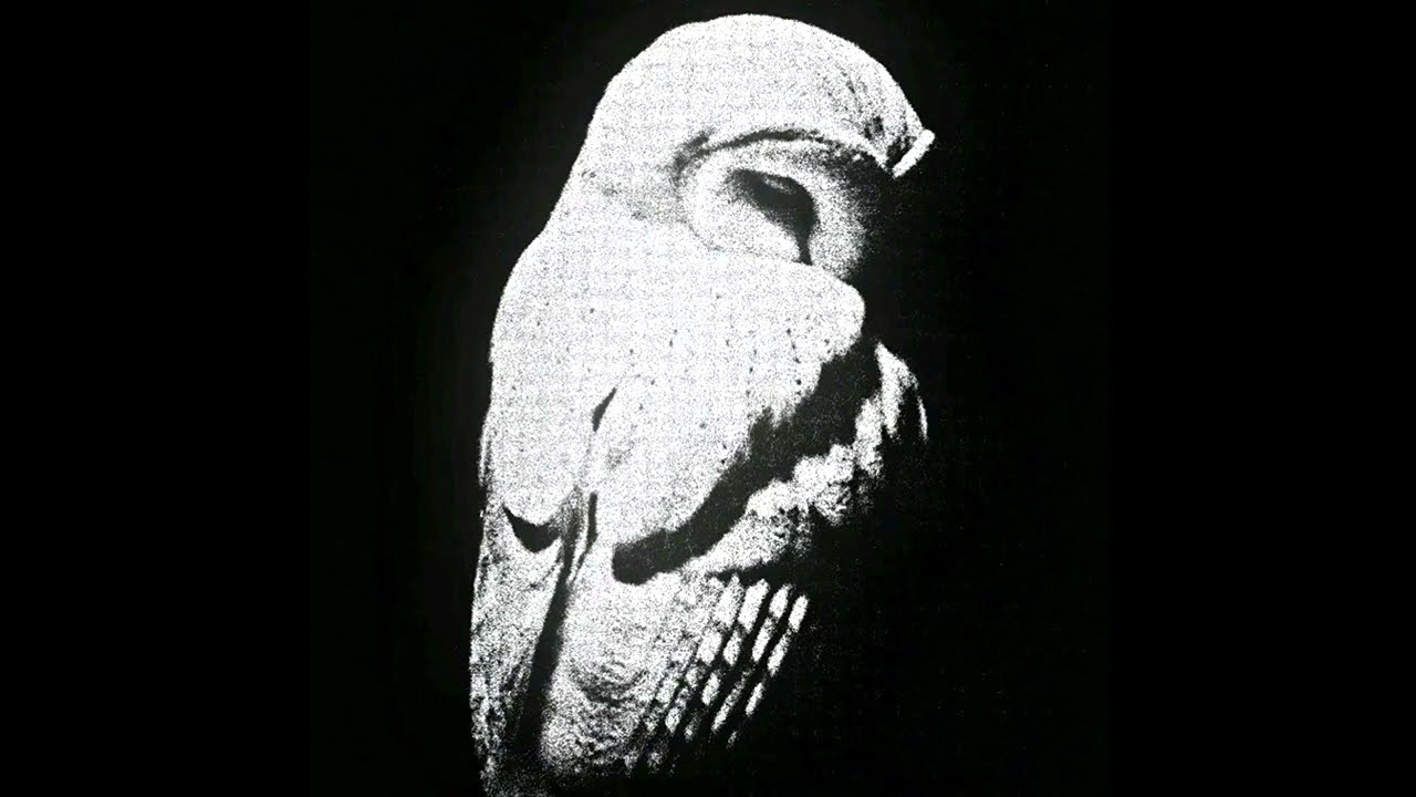 (FREE) Metro Boomin x Future Type Beat - "Phoenix"