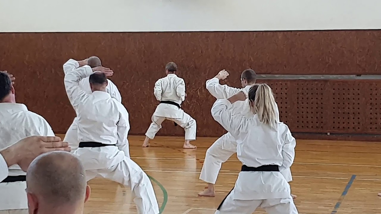 Goju Ryu Karate Do Seiwakai Seminar - Malacky 20.04.2019 with Dr. Rastislav Mraz Kyoshi 7th DAN