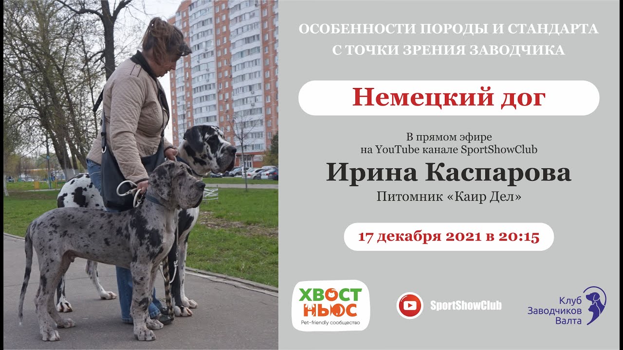 Немецкий дог / Ирина Каспарова. Питомник "Каир Дел"