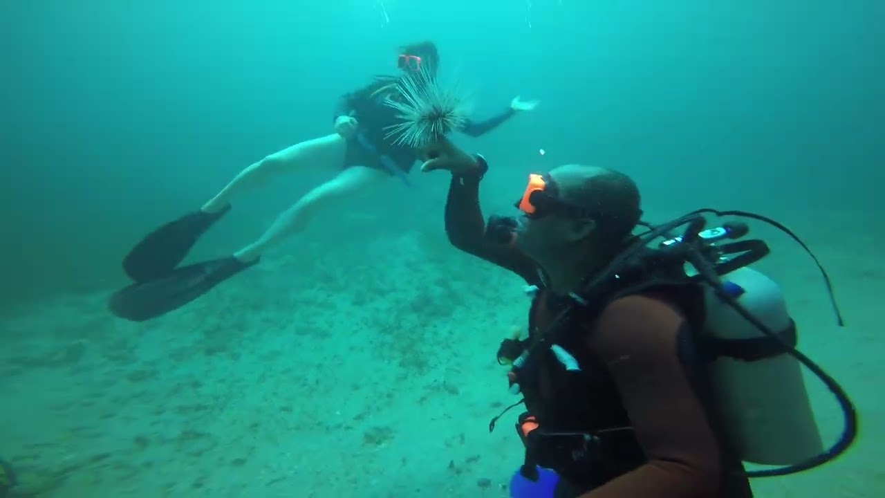 Ship wreck dive   St Lucia