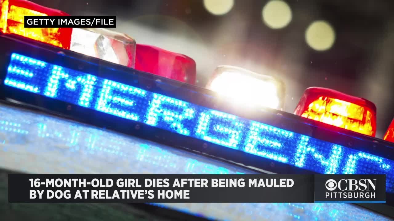 16-Month-Old Girl Dies After Being Mauled By Dog At Relative&rsquo;s Home