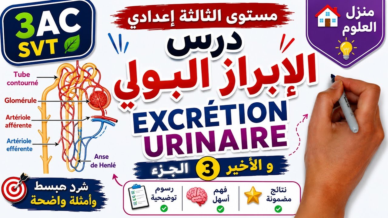 درس الإبراز البولي مستوى الثالثة إعدادي الجزء الثالث و الأخير | Excrétion urinaire 3AC SVT