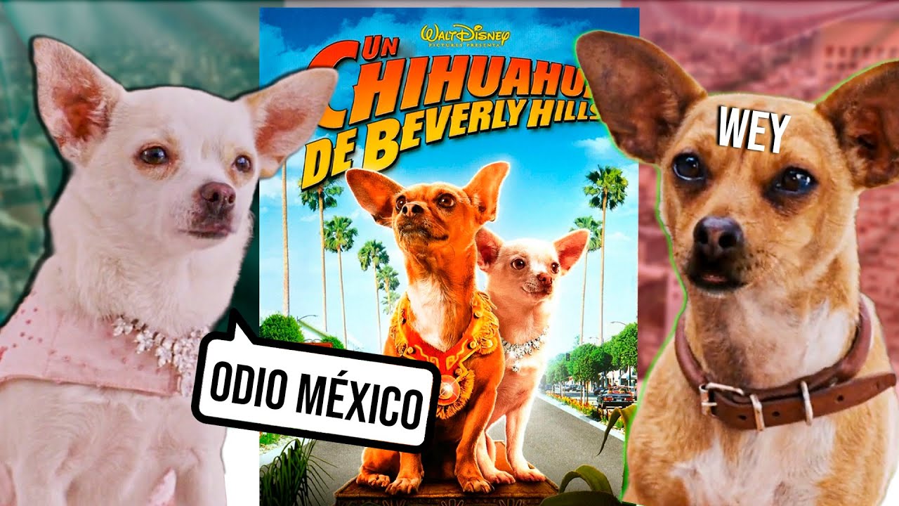 xenofobia, la película