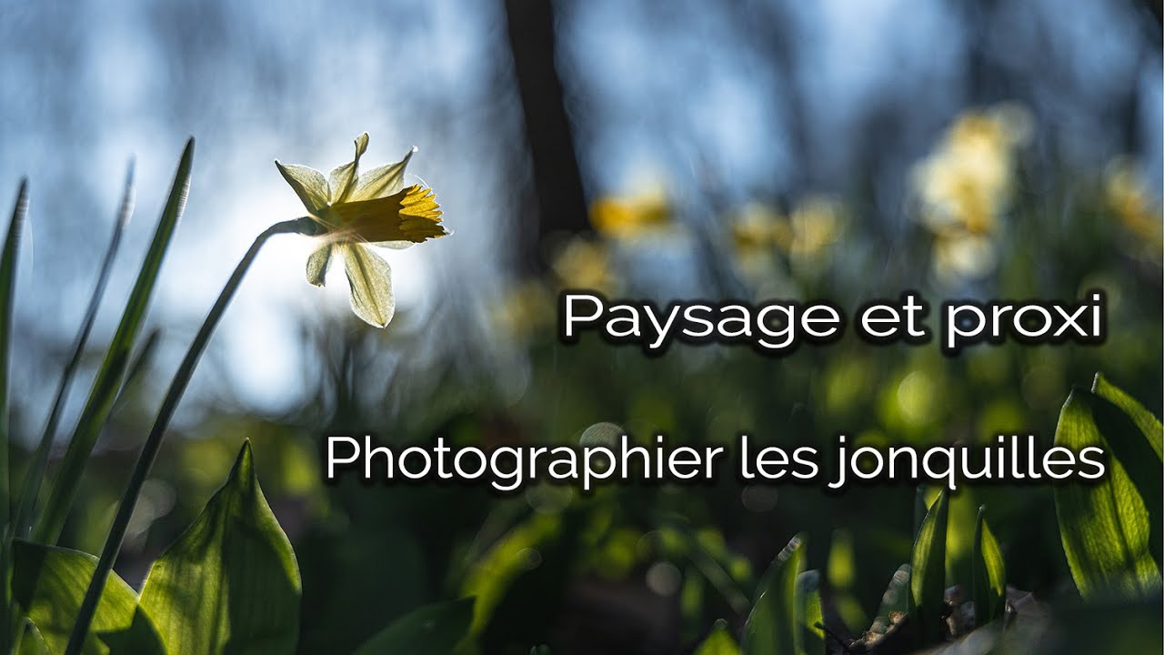 Comment la Photographie Vous Fait Oublier les Problèmes du Monde le Temps d'une Sortie