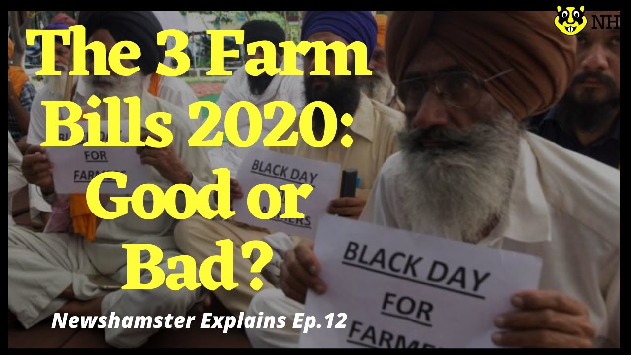 The 3 Farm Bills: Good or Bad?|NewsHamster Explains|Ep. 12